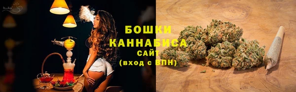 прущие грибы Зерноград