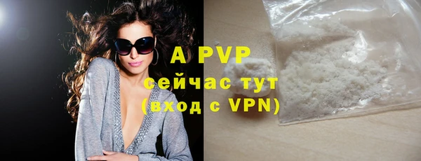 прущие грибы Зерноград
