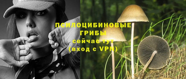 прущие грибы Зерноград