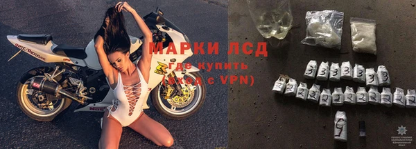 прущие грибы Зерноград