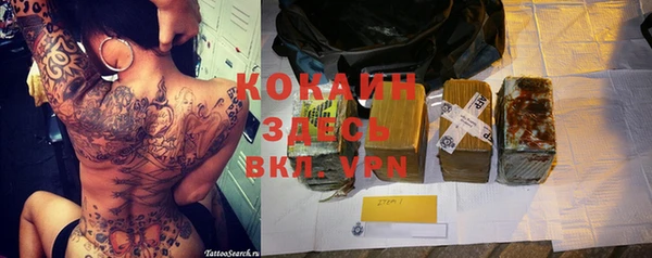 прущие грибы Зерноград