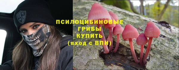 прущие грибы Зерноград