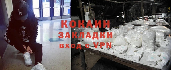 прущие грибы Зерноград